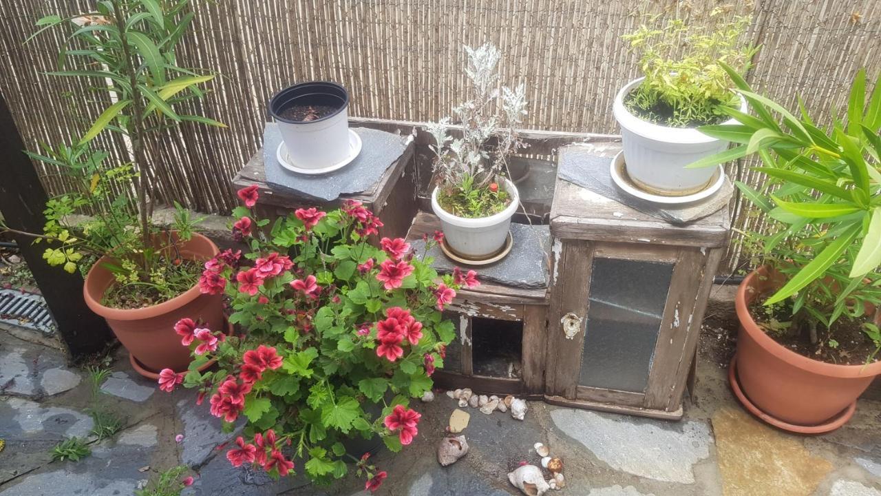 Guest House Antique Sosopol Exterior foto